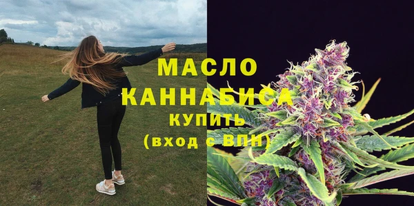 apvp Горняк