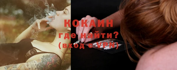 apvp Горняк