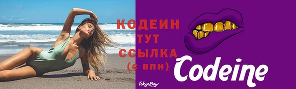 apvp Горняк